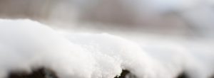 snowy roof banner